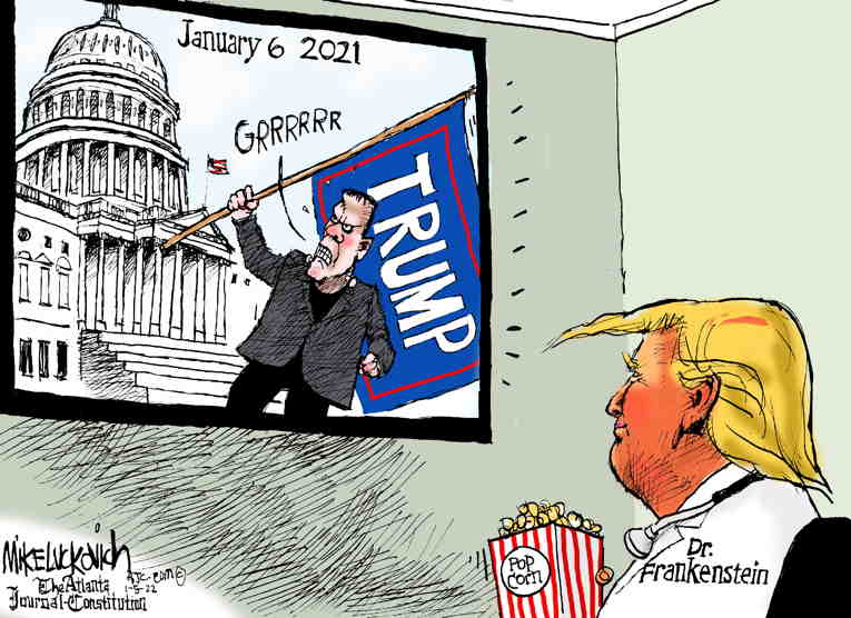 Political/Editorial Cartoon by Mike Luckovich, Atlanta Journal-Constitution on Jan. 6 Events Come Into Focus