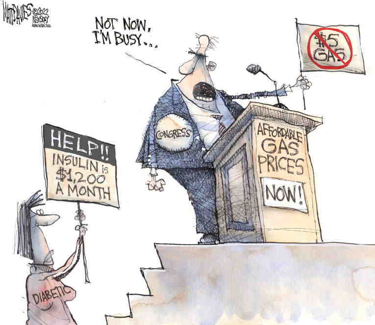 Political/Editorial Cartoon by Matt Davies, Journal News on In Other News