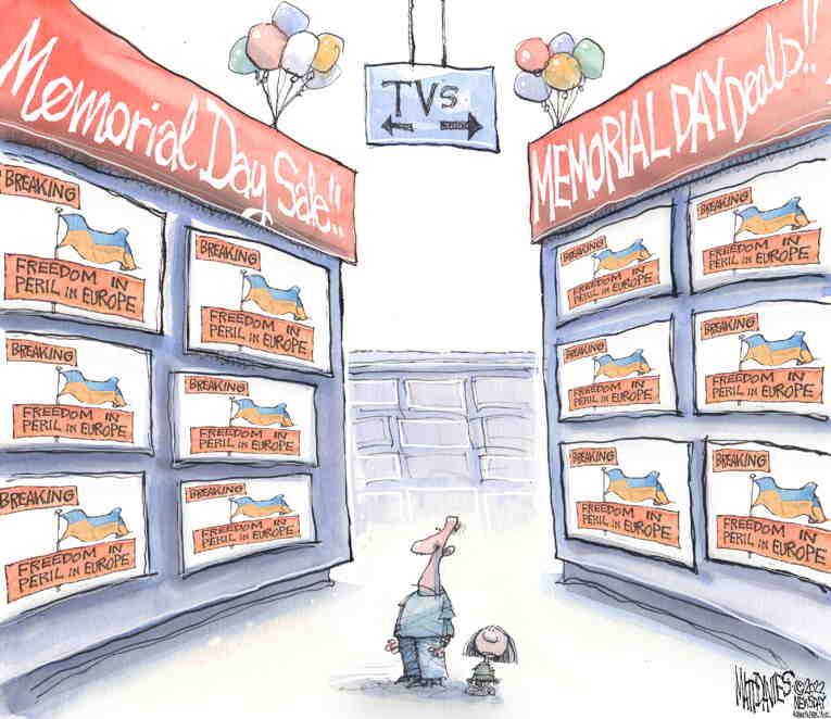 Political/Editorial Cartoon by Matt Davies, Journal News on In Other News