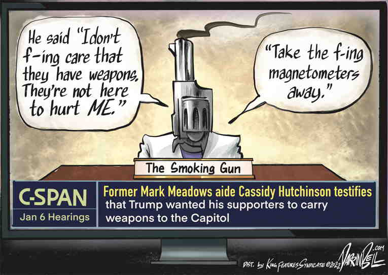 Political/editorial cartoon