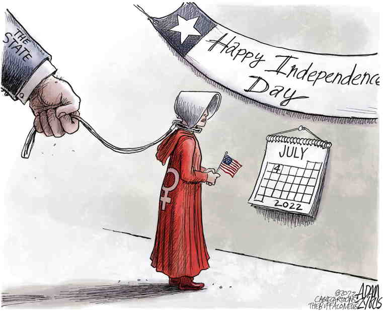 Political/Editorial Cartoon by Adam Zyglis, The Buffalo News on In Other News