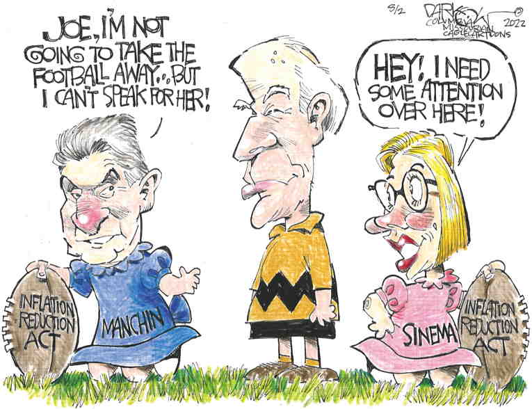 Political/Editorial Cartoon by John Darkow, Columbia Daily Tribune, Missouri on Manchin Shocks All