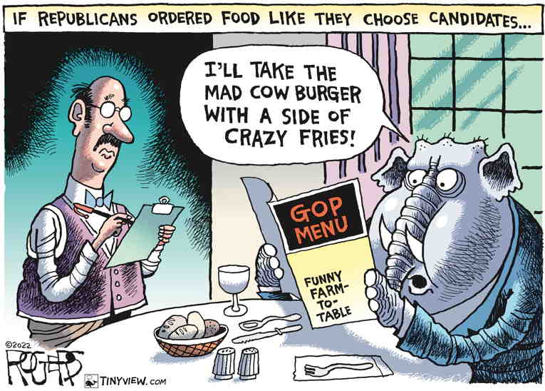 Political/Editorial Cartoon by Rob Rogers on Sarah Palin Loses Bid