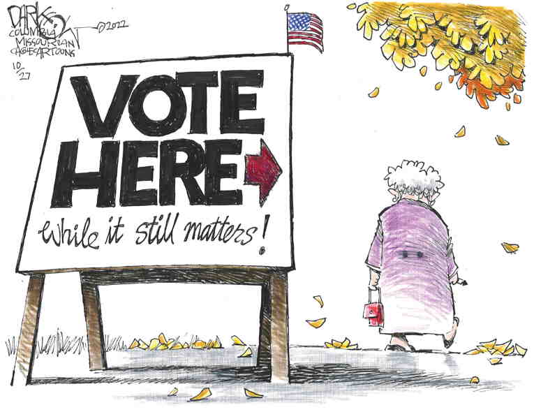 Political/Editorial Cartoon by John Darkow, Columbia Daily Tribune, Missouri on Voters Conflicted