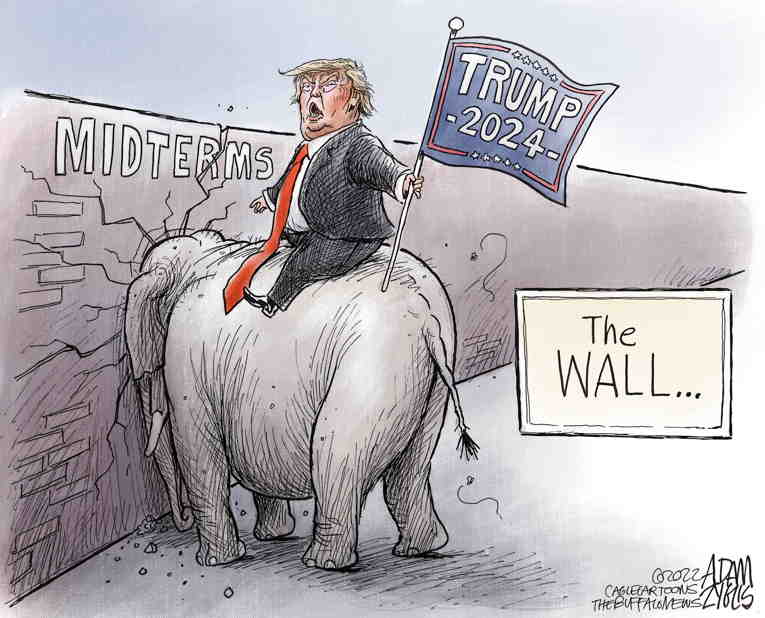 Political/Editorial Cartoon by Adam Zyglis, The Buffalo News on Fascism Rejected