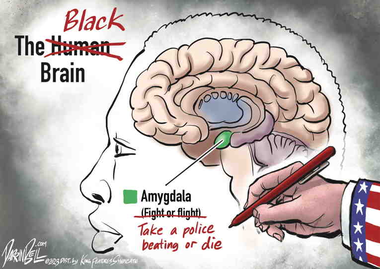 Political/Editorial Cartoon by Darrin Bell, Washington Post Writers Group on Video Shocks Nation