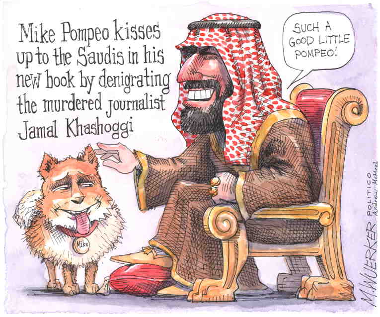Political/Editorial Cartoon by Matt Wuerker, Politico on In Other News
