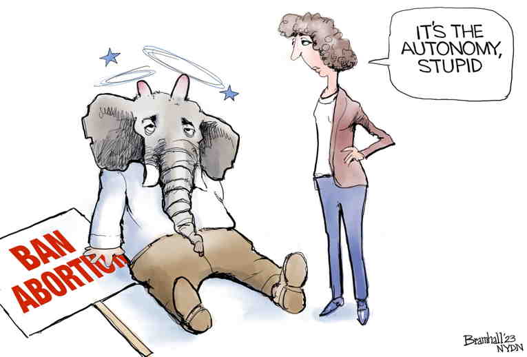 Political/Editorial Cartoon by Bill Bramhall, New York Daily News on Voters Reject Republicans