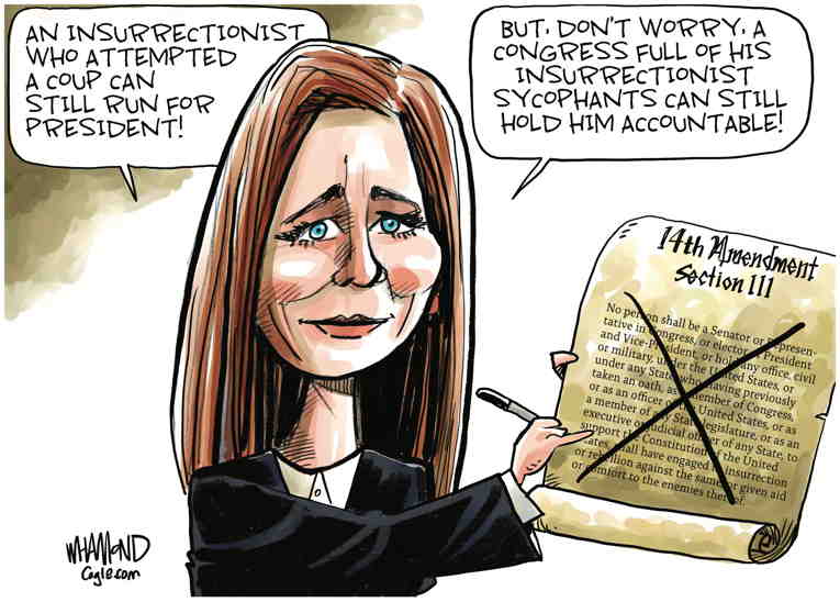 Political/Editorial Cartoon by Dave Whamond, Canada, PoliticalCartoons.com on Trump Is Back on Ballot