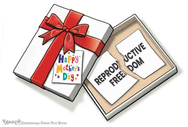 Political/Editorial Cartoon by Clay Bennett, Chattanooga Times Free Press on In Other News