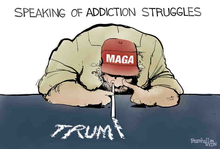 Political/Editorial Cartoon by Bill Bramhall, New York Daily News on MAGA Supporters Go Bonkers