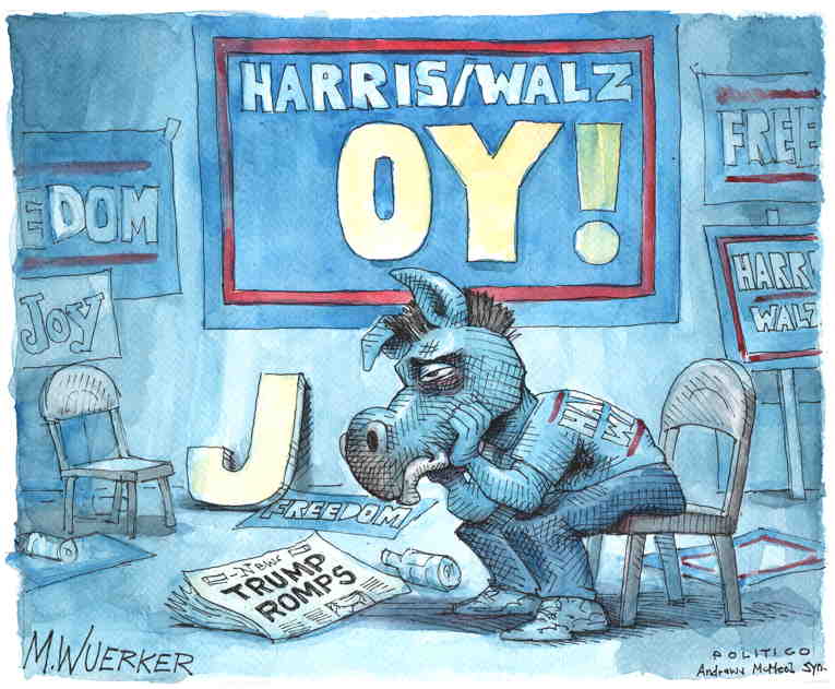 Political/Editorial Cartoon by Matt Wuerker, Politico on Democrats Depressed