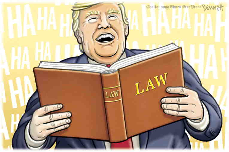 Political/Editorial Cartoon by Clay Bennett, Chattanooga Times Free Press on Trump Wastes No Time