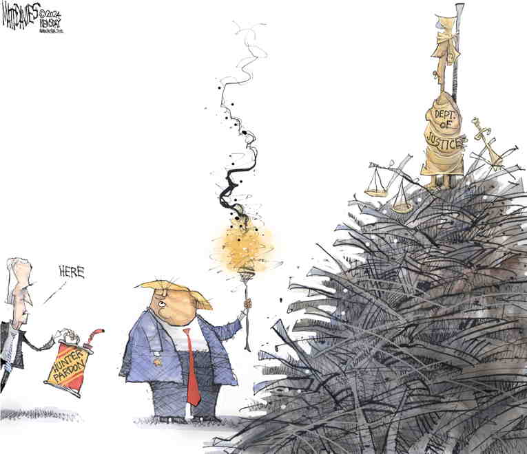 Political/Editorial Cartoon by Matt Davies, Journal News on Biden Pardons Biden