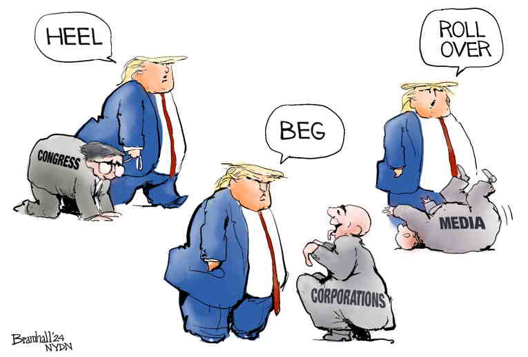 Political/Editorial Cartoon by Bill Bramhall, New York Daily News on Trump Basks in Victory