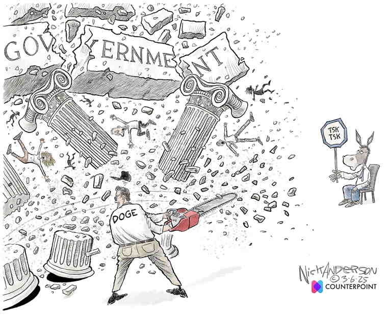 Political/Editorial Cartoon by Nick Anderson, Houston Chronicle on Democrats Object