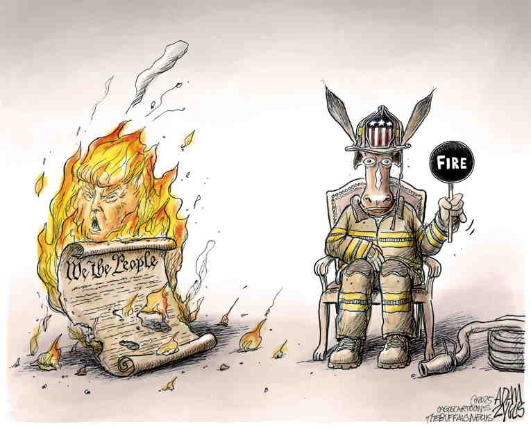 Political/Editorial Cartoon by Adam Zyglis, The Buffalo News on Democrats Object