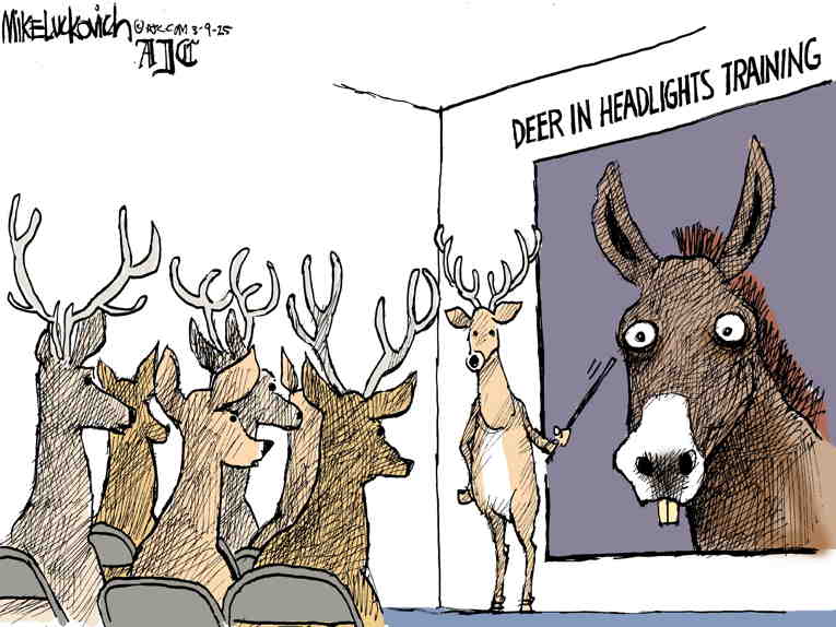 Political/Editorial Cartoon by Mike Luckovich, Atlanta Journal-Constitution on Democrats Object
