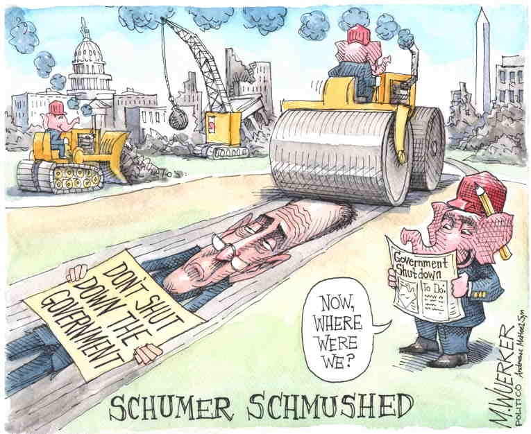 Political/Editorial Cartoon by Matt Wuerker, Politico on Schumer Melts Into a Puddle