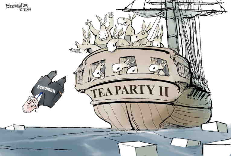 Political/Editorial Cartoon by Drew Sheneman, Newark Star Ledger on Schumer Melts Into a Puddle