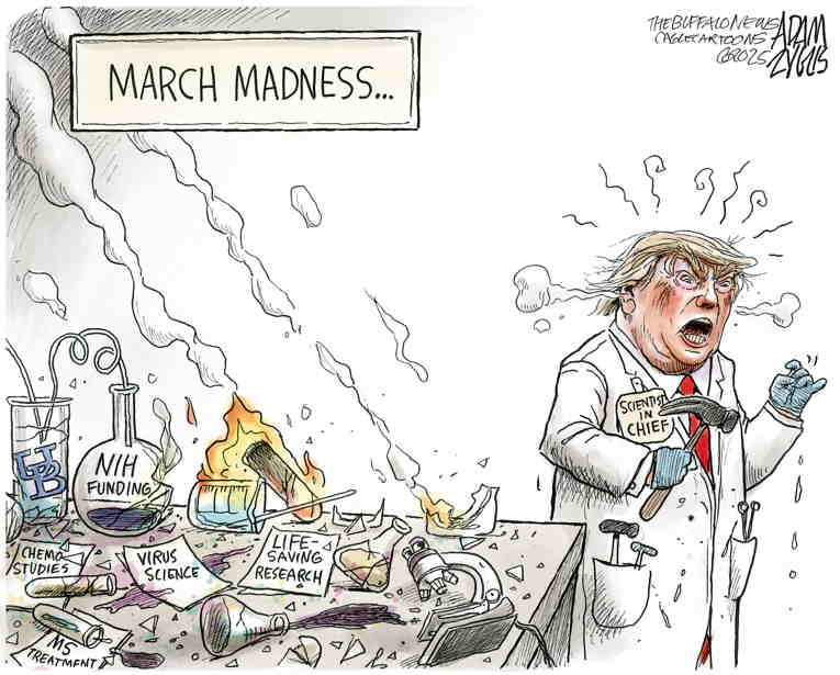 Political/Editorial Cartoon by Adam Zyglis, The Buffalo News on Trump Acting as King