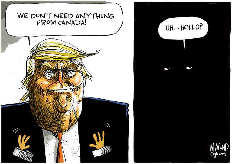 Political/Editorial Cartoon by Dave Whamond, Canada, PoliticalCartoons.com on Trump Acting as King