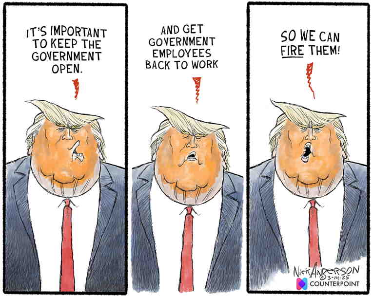 Political/Editorial Cartoon by Nick Anderson, Houston Chronicle on Trump Acting as King