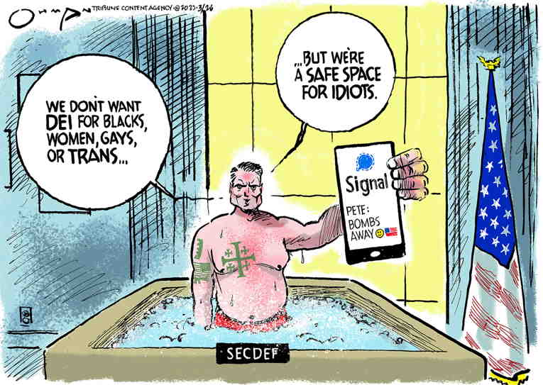 Political/Editorial Cartoon by Jack Ohman, The Oregonian on Security Breach Rattles Nation