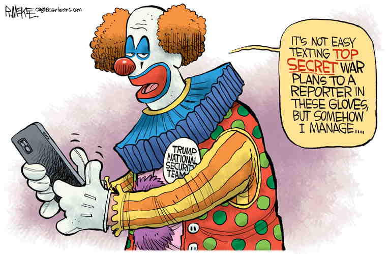 Political/Editorial Cartoon by Rick McKee, The Augusta Chronicle on Security Breach Rattles Nation