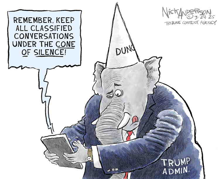 Political/Editorial Cartoon by Nick Anderson, Houston Chronicle on Security Breach Rattles Nation