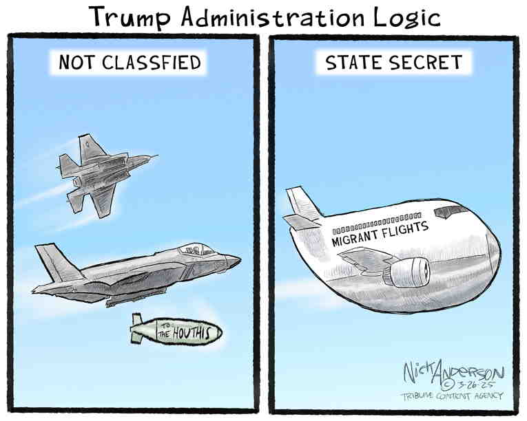 Political/Editorial Cartoon by Nick Anderson, Houston Chronicle on Security Breach Rattles Nation