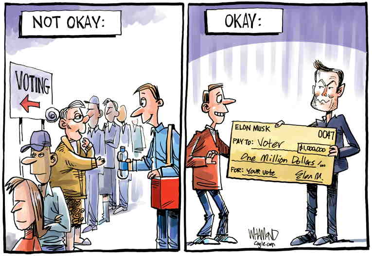 Political/Editorial Cartoon by Dave Whamond, Canada, PoliticalCartoons.com on Musk Blows Key Election