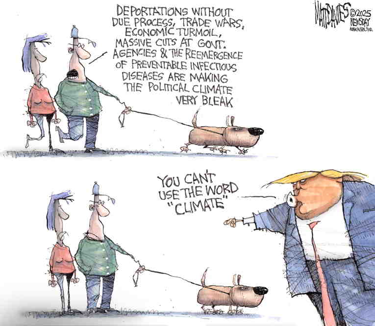 Political/Editorial Cartoon by Matt Davies, Journal News on Trump Wields Absolute Power