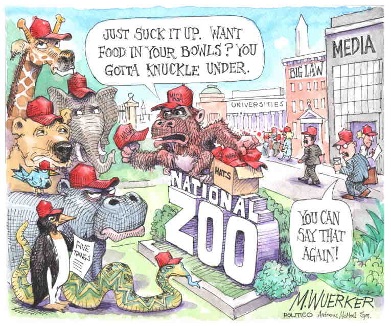 Political/Editorial Cartoon by Matt Wuerker, Politico on In Other News