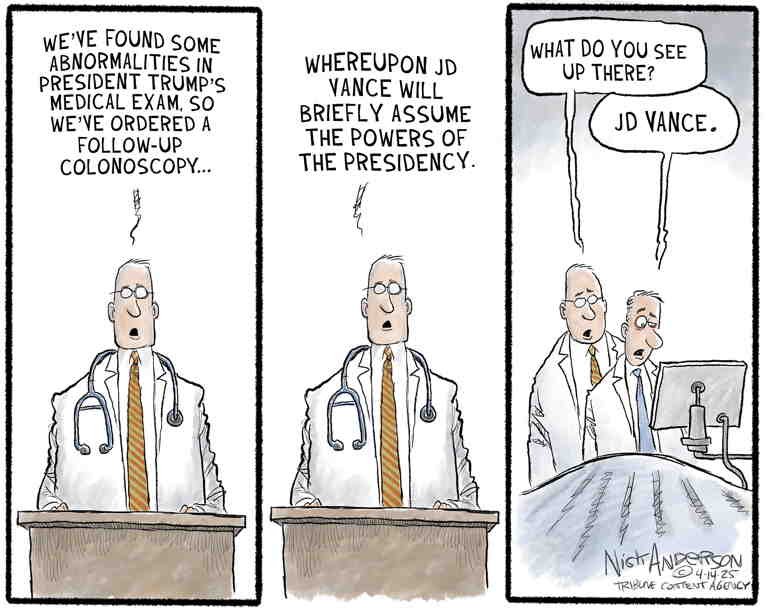 Political/Editorial Cartoon by Nick Anderson, Houston Chronicle on Trump Takes Physical