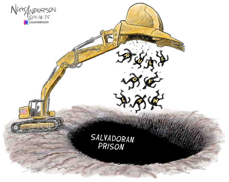 Political/Editorial Cartoon by Nick Anderson, Houston Chronicle on Trump Defies Courts