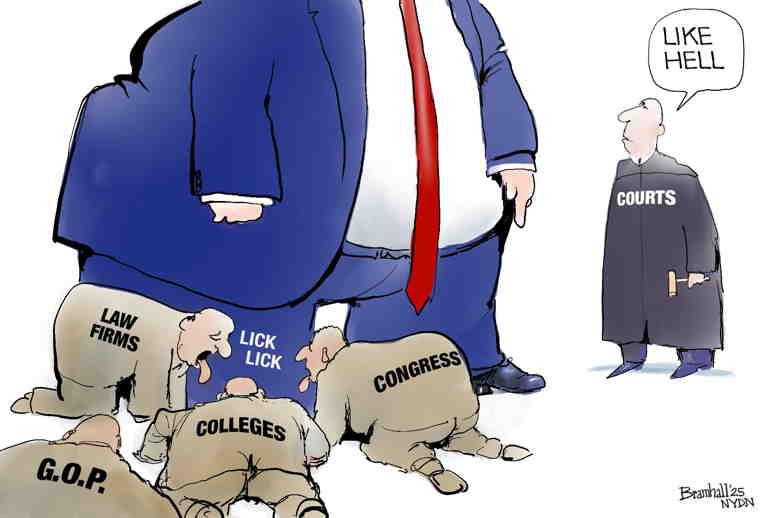 Political/Editorial Cartoon by Bill Bramhall, New York Daily News on Trump Defies Courts