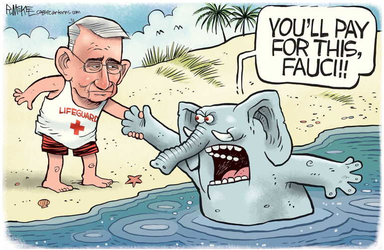 Political/editorial cartoon