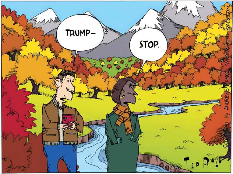 Political cartoon of the day